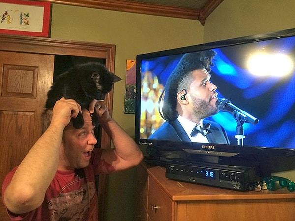 30. Yılın taklit ödülü için The Weeknd tiplemesiyle bu adam ve kedisini aday gösteriyoruz!