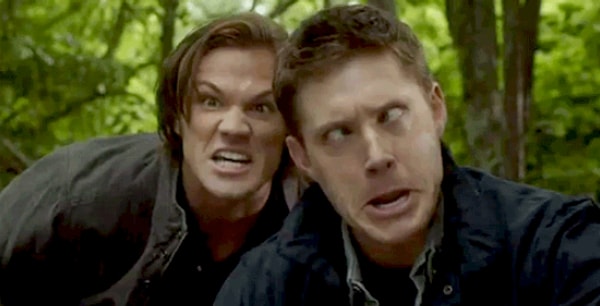 13. Никто не насмехается над тобой, потому что, тусуясь с тобой долгое время, все начали вести себя, как ты.