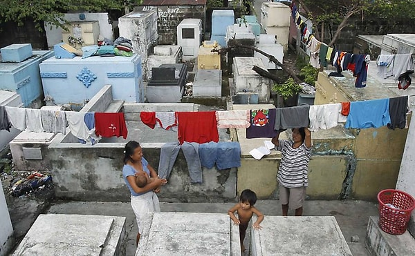Если не брать во внимание то, что спят, едят, играют они на могилах у мертвых людей, то можно сделать вывод: живые жители кладбища являются абсолютно обычными людьми.
