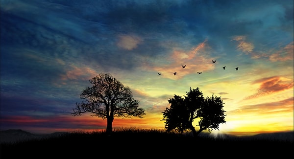 4. По-вашему, на этой фотографии солнце.....