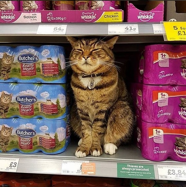 2. Saklandığını zannedip sizi kandırmak isterler ve sizin onları bulmanızı isterler