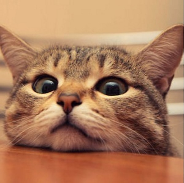 3. Masada yemek yerken her türlü masum bakış denemesini yaparlar