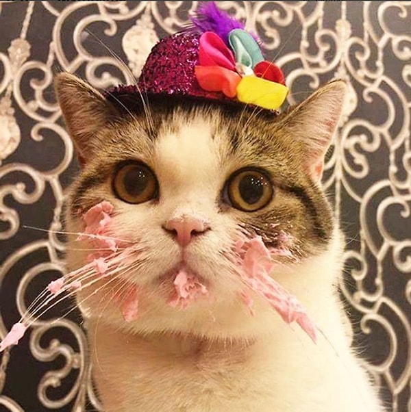 4. Doğumgünü pastanızı sizden önce üflemeye çalışabilirler