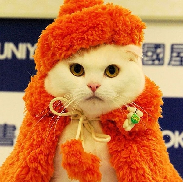 8. Sizin için şık giyinirler