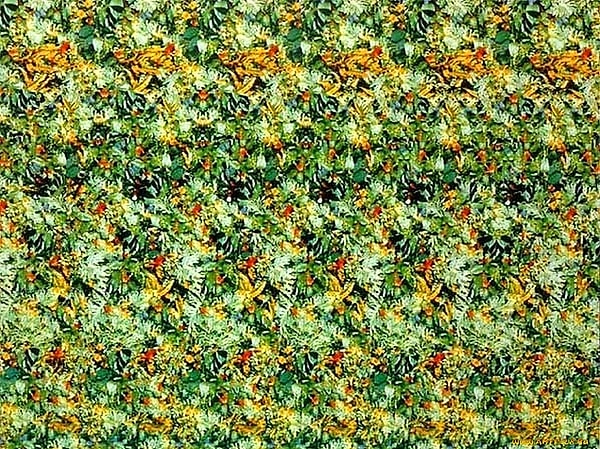 9. Что изображено здесь?