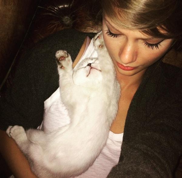 Belki duymuşsunuzdur; Taylor Swift'in hayvanlarla özellikle de kedilerle dillere destan bir ilişkisi var.