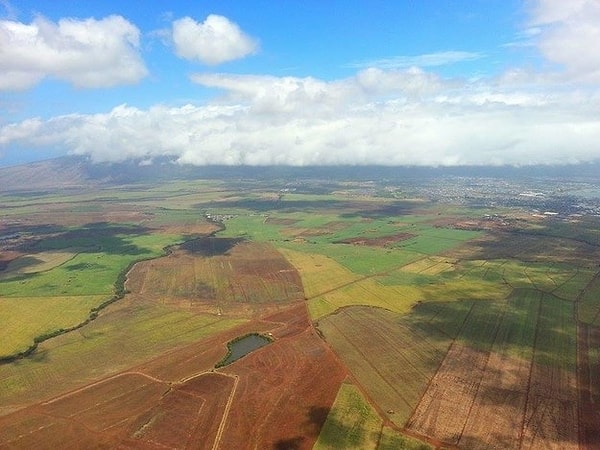 25. Полет в Мауи.