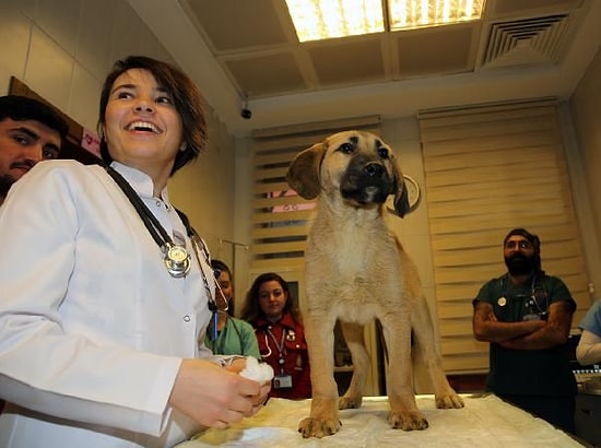 Bazı Hikâyeler Mutlu Sonla Biter: Günler Süren Mücadele, Dayanışma ve Kuyu'nun Kurtarılışı