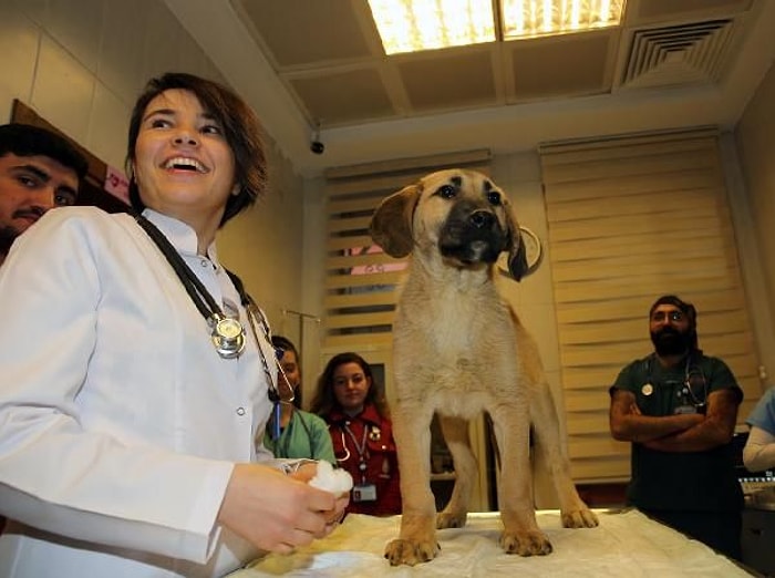 Bazı Hikâyeler Mutlu Sonla Biter: Günler Süren Mücadele, Dayanışma ve Kuyu'nun Kurtarılışı