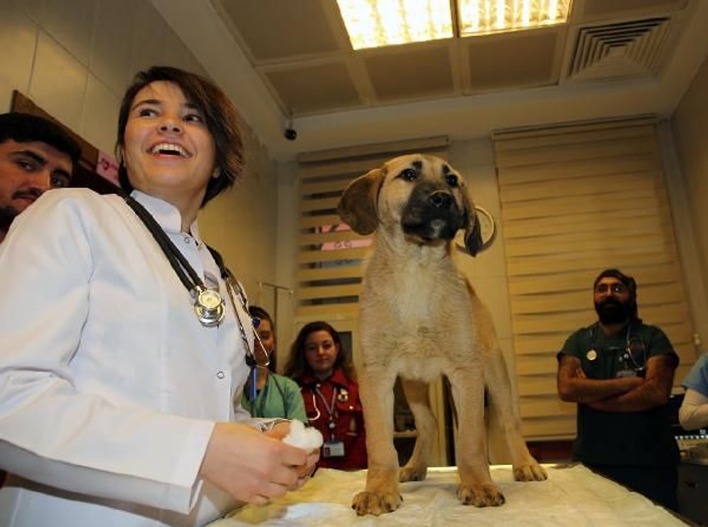 Bazı Hikâyeler Mutlu Sonla Biter: Günler Süren Mücadele, Dayanışma ve Kuyu'nun Kurtarılışı