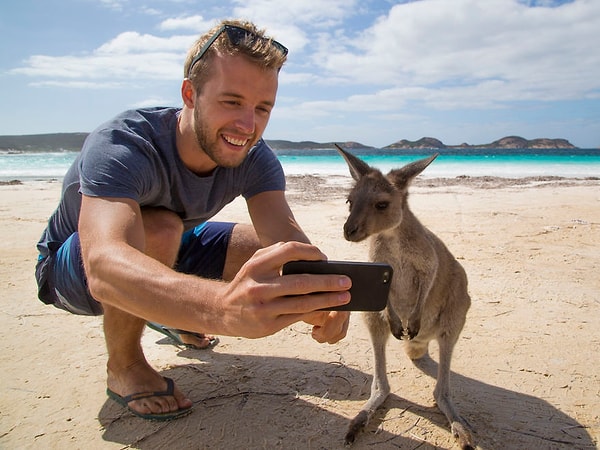 10. Селфи с кенгуру, пляж неподалеку от города Эсперанс, Восточная Австралия