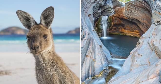 Неожиданная сторона Австралии: завораживающие фото дикой (и не очень) природы