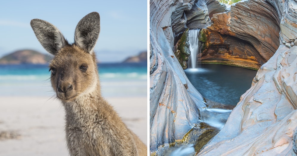 Неожиданная сторона Австралии: завораживающие фото дикой (и не очень) природы
