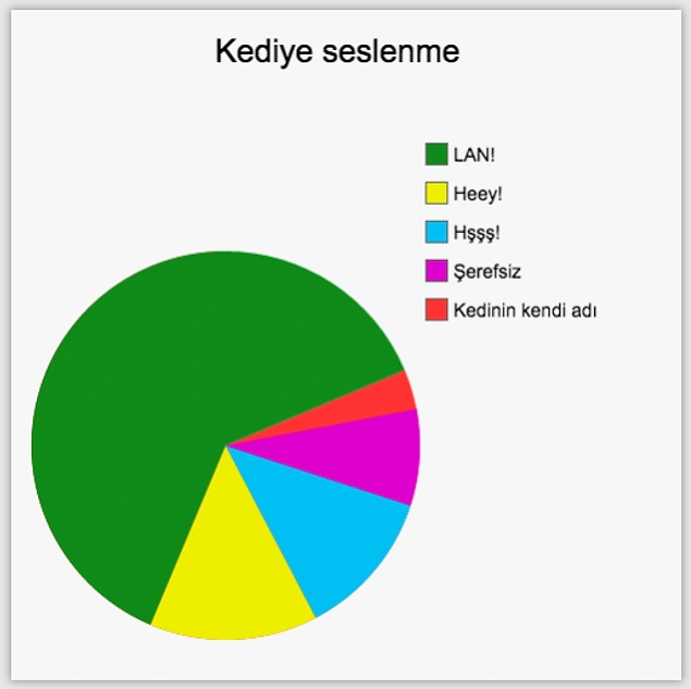 Kediye adı dışında seslenmek