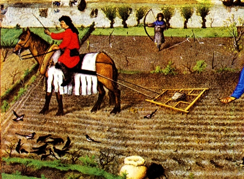 В прошлой жизни вы были фермером или пастухом!