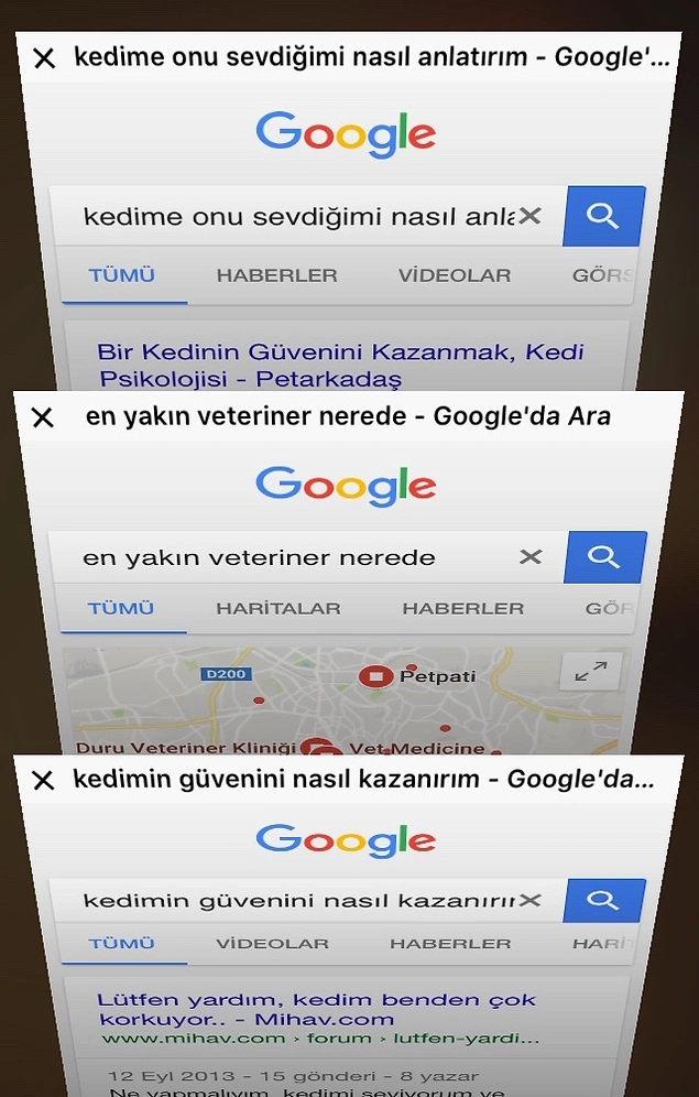 İlk kez kedinin kuyruğuna veya ayağına yanlışlıkla basmak