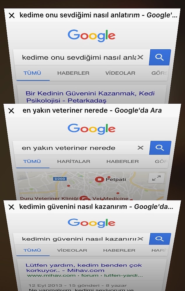 15. İlk kez kedinin kuyruğuna veya ayağına yanlışlıkla basmak