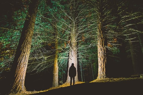 7. Канберрские призраки