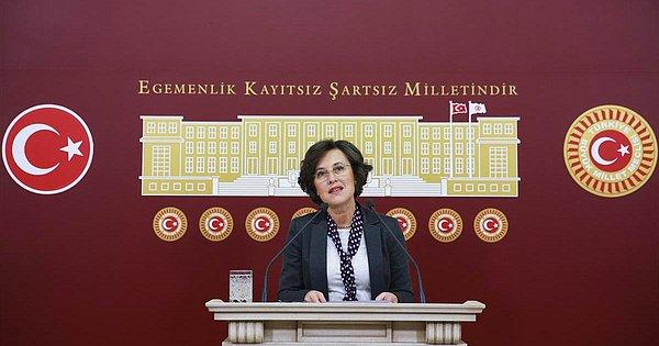 HDP İstanbul Milletvekili Filiz Kerestecioğlu ise konuyla ilgili bir araştırma komisyonu kurulması gerektiğini söyledi.