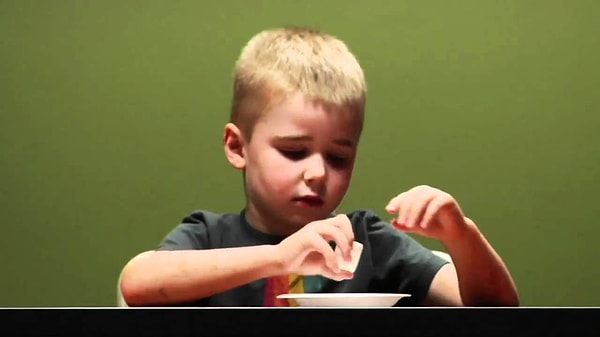 5. Маршмеллоу-тест