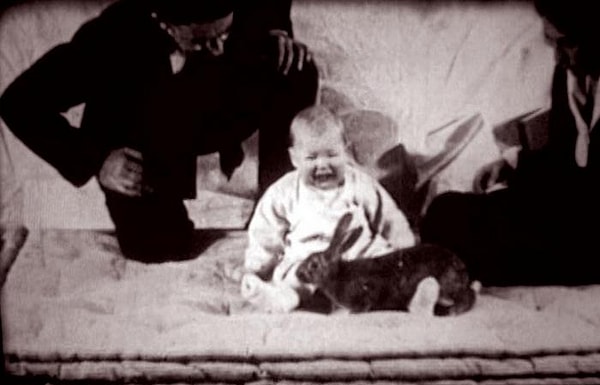 11. Маленький Альберт