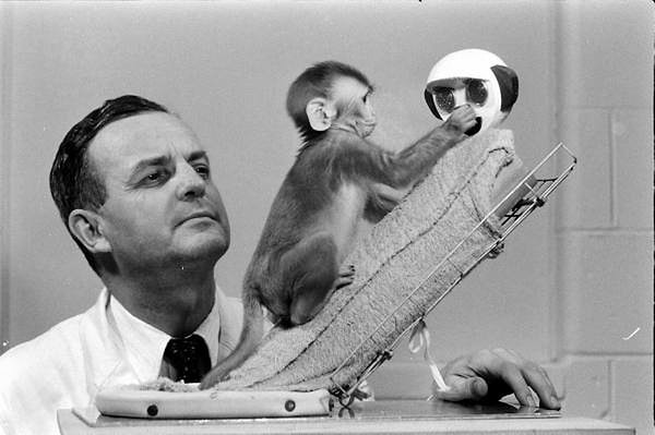 15. Обезьяны Харлоу