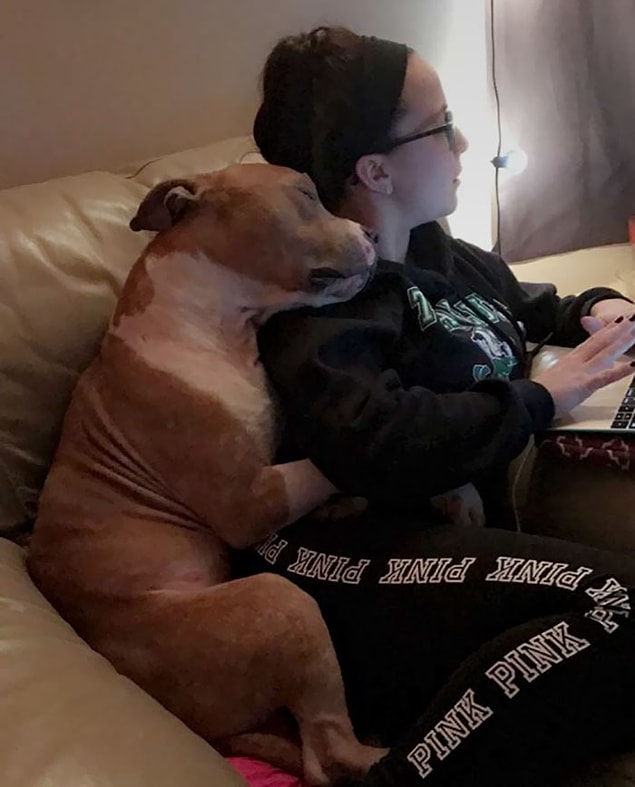 "Terk edilmiş bir sokak köpeğiydi ve dövülmüştü," diyor Kayla.