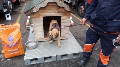 O Simdi Stajyer Itfaiye Eri Kuyu Kurtarma Kopegi Olarak Yetistirilecek