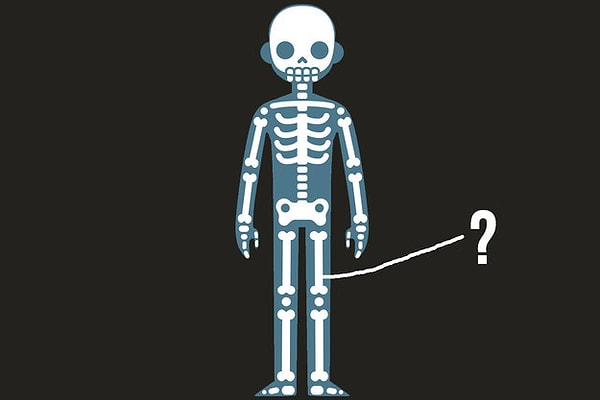 2. Как называется эта кость?