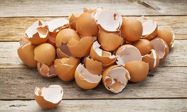 ABD gıda endüstrisi her yıl 150,000 ton yumurta kabuğunu çöpe atmaktadır.