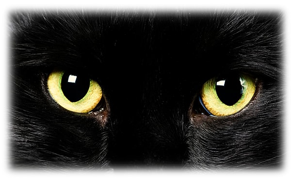 16. Черный – это вызов суевериям.