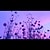 purpleblanket