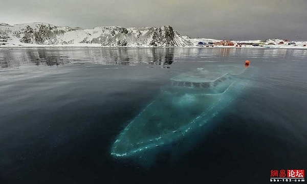 5. Вы чуть не падаете в обморок, едва взглянув на это фото?