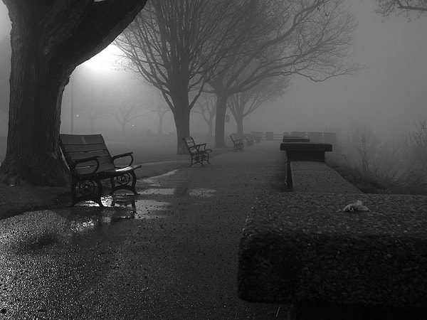 14. От такого вида вас трясет?