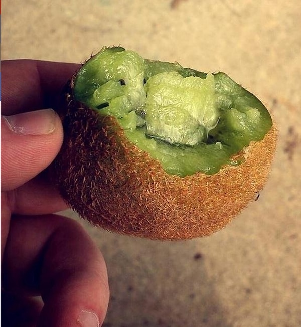 10. Кто в здравом уме будет кусать Киви?