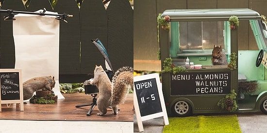 Kendisini Ziyarete Gelenlere Sincaplar İle Küçük Ama Etkili Bir Gösteri Hazırlayan Kadın
