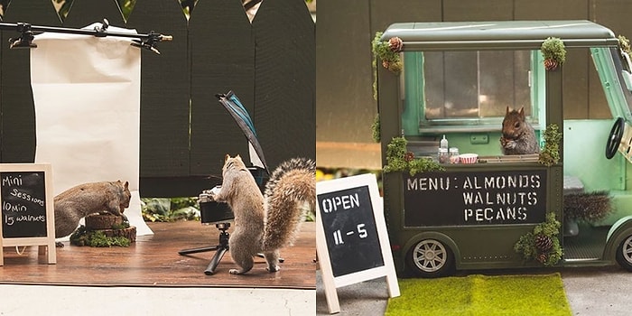 Kendisini Ziyarete Gelenlere Sincaplar İle Küçük Ama Etkili Bir Gösteri Hazırlayan Kadın