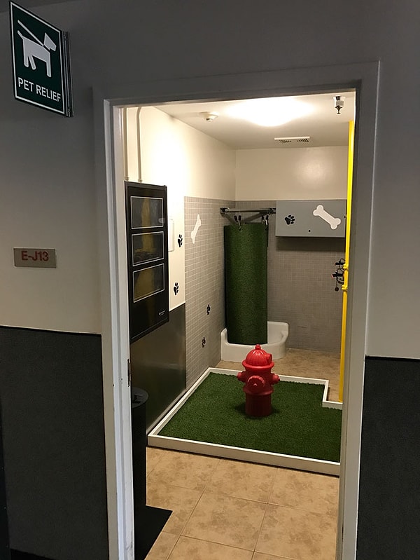 10. Не успели погулять с собакой перед вылетом? В этом аэропорту для этого существует специальная комната