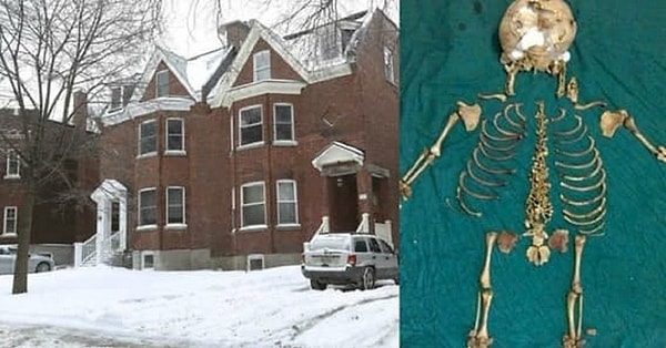 3. Скелет человека