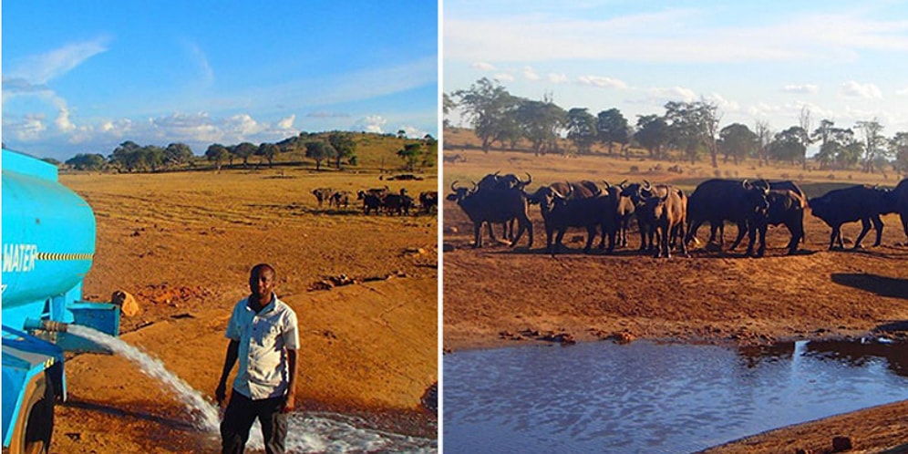 Фермер из Кении каждый день спасает тысячи диких животных