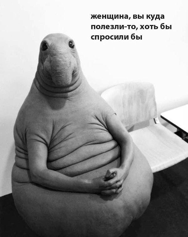 Heykelin fotoğrafı Rus sosyal medyasında yayıldı ve insanlar deli gibi capsler yaratmaya başladılar.