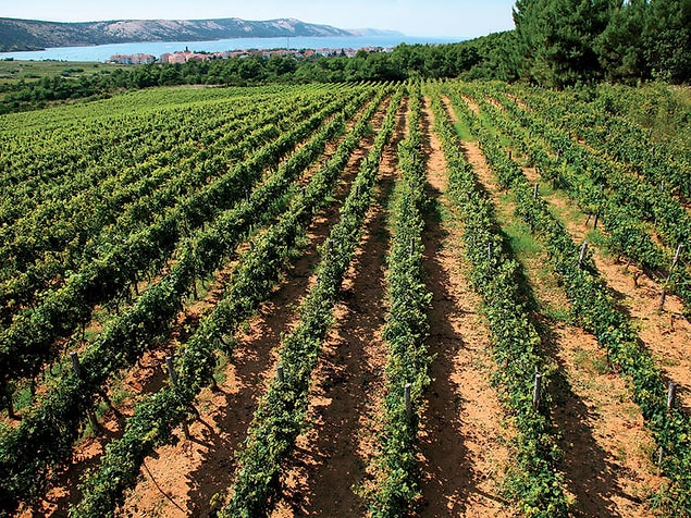 3. Pag, Hırvatistan
