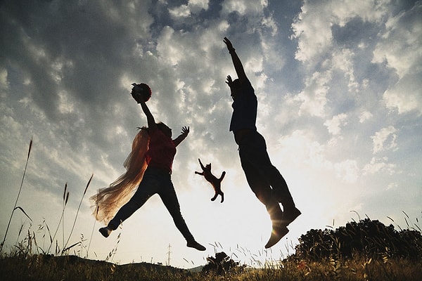 8. Кот, который тоже является частью свадебного веселья