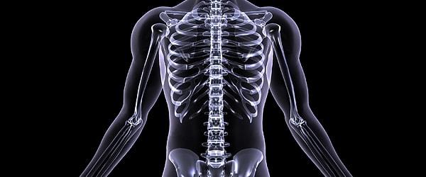 10. Harvard Üniversitesi - AnatomyX: Kas-iskelet Sistemi Vakaları