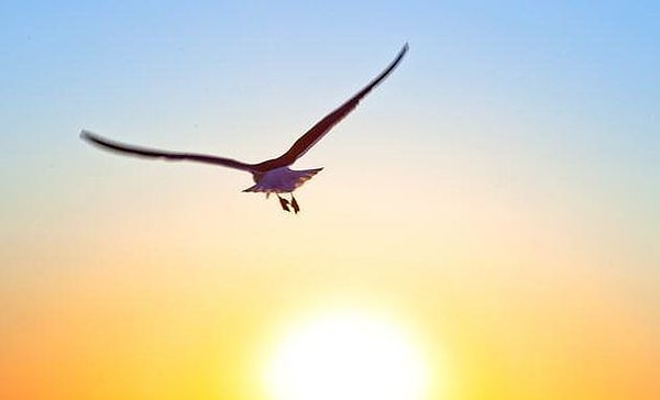 3. Придет время, когда ты решишь, что все кончено. Это и будет начало.