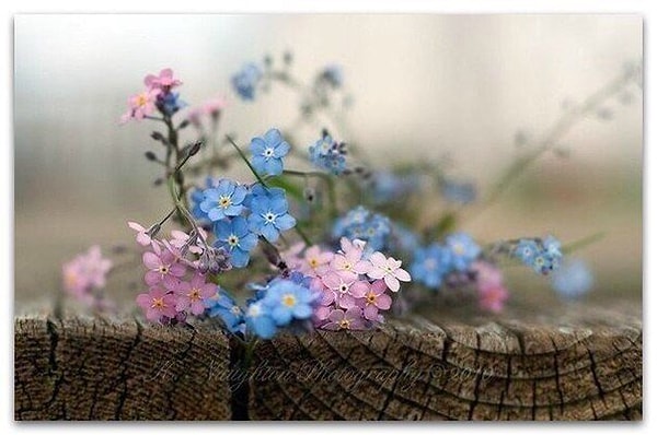 4. Самые ошибочные поступки - НАЗЛО. Самые глупые поступки - РАДИ. Самые сильные - ВОПРЕКИ.