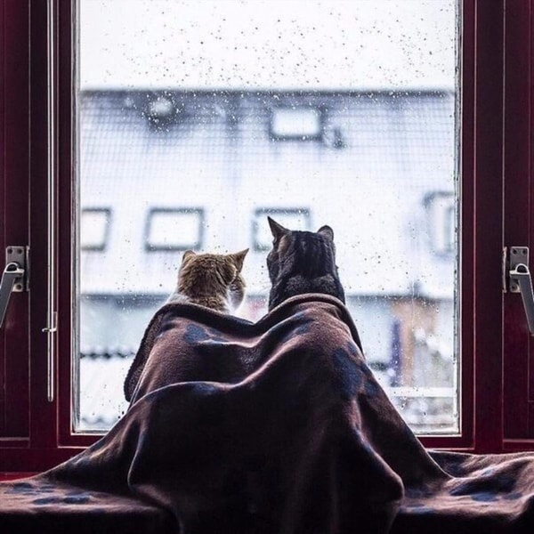 19. Чужое мнение не должно быть важнее собственного счастья.