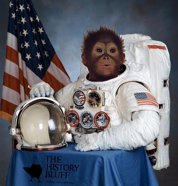 10. Son soru! 1962'de uzaya gönderilen ve gönderildiği kapsülün içinde nefessiz kalıp ölen maymunun adı neydi?