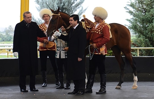 6. Atlar özel ilgi alanı.