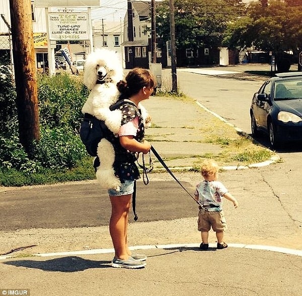 4. "Хозяйка немного перепутала. А я и не против" :)